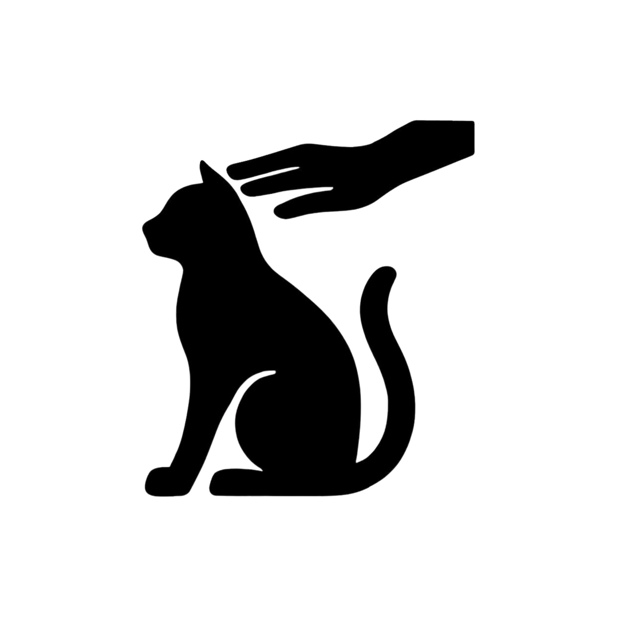 aggressive cats are not welcome at xopaws catsitting