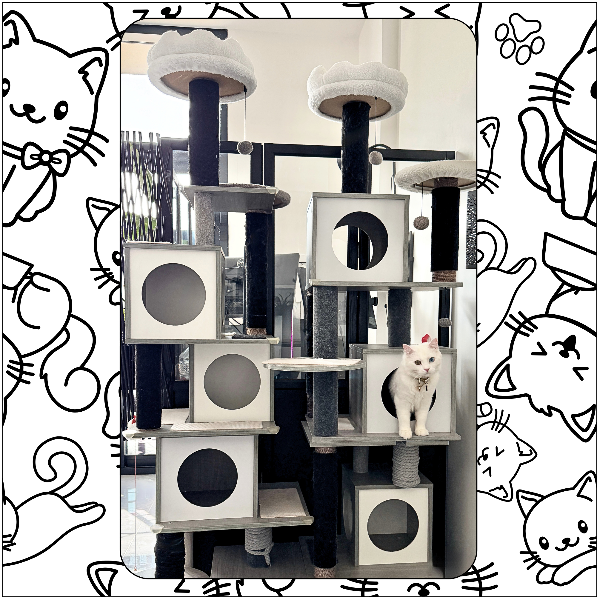 large cat tree dubai cat boarding