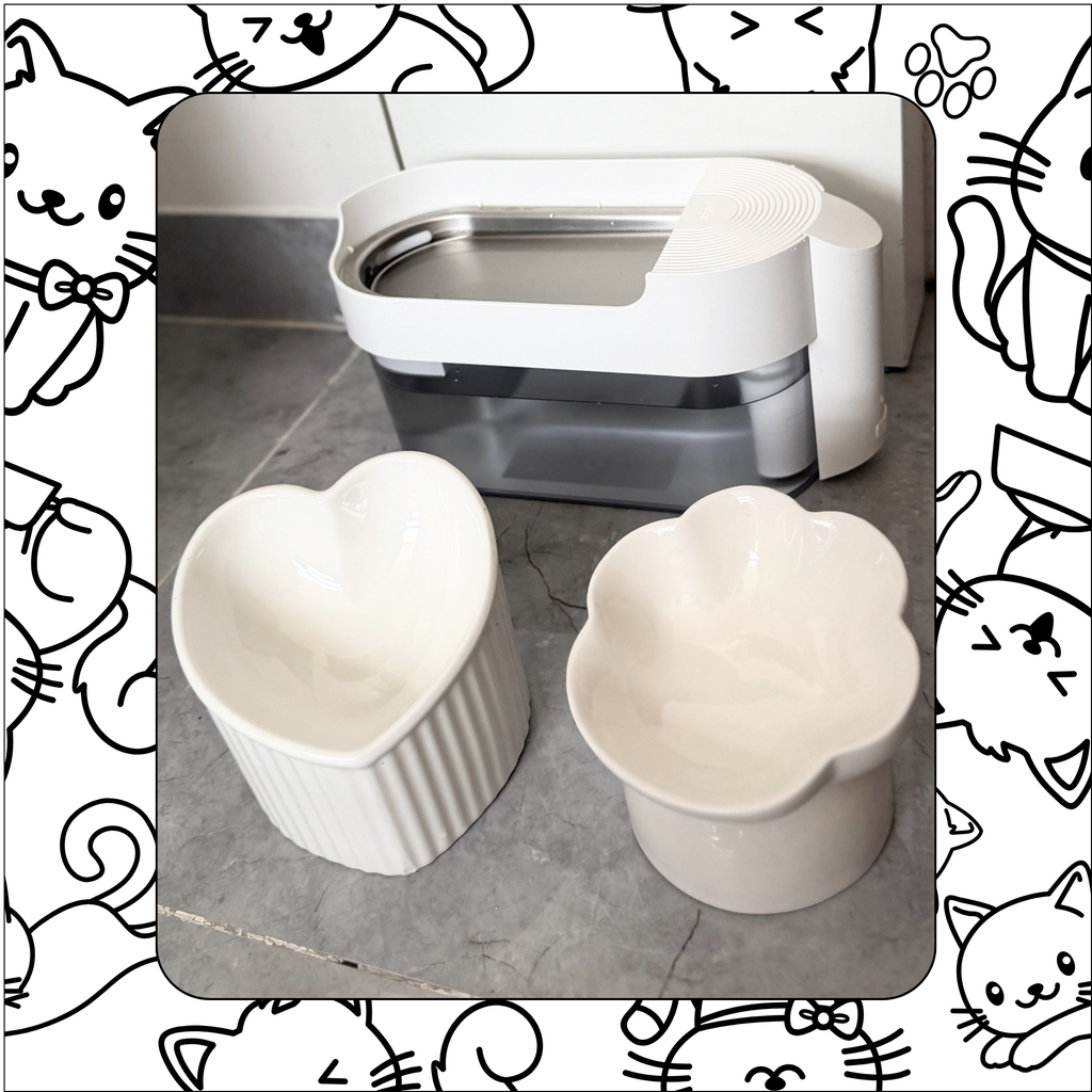 We offer fresh clean water daily and clean ceramic bowls for wet and dry food